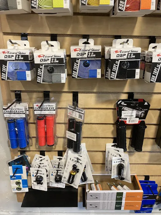 Element Cycles Picture 2