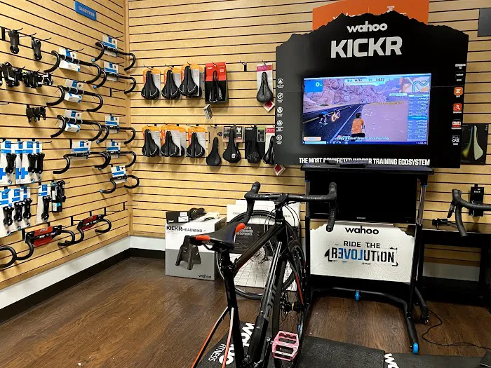 Element Cycles Picture 10