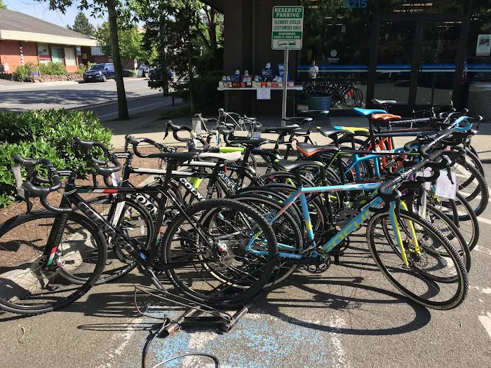 Element Cycles Picture 9