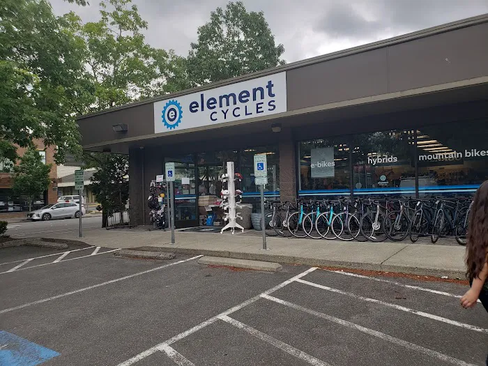 Element Cycles Picture 8