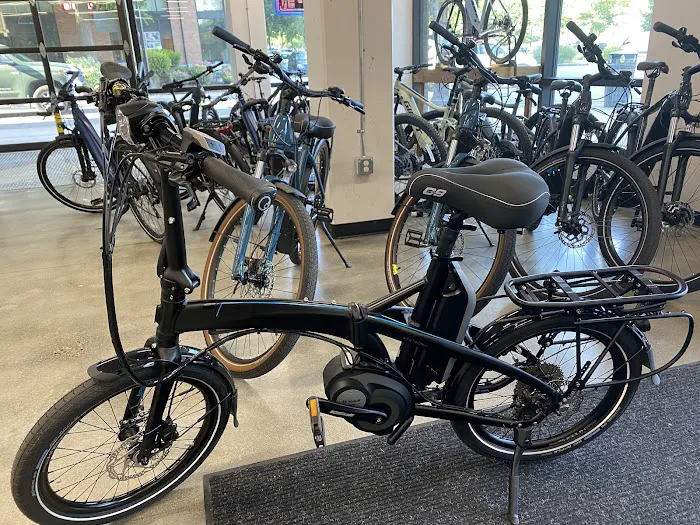 Seattle Electric Bike - Eastside Picture 1