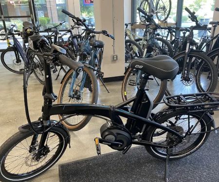 Seattle Electric Bike - Eastside