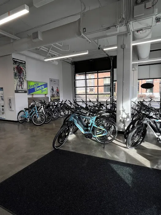 Seattle Electric Bike - Eastside Picture 3