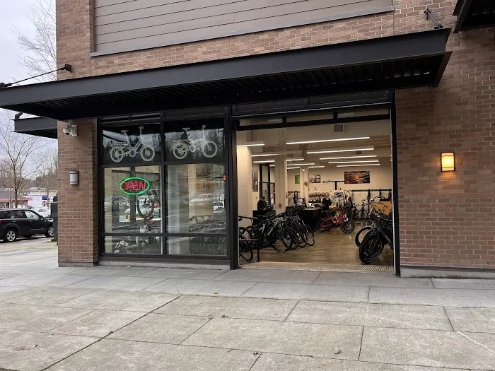 Seattle Electric Bike - Eastside Picture 4