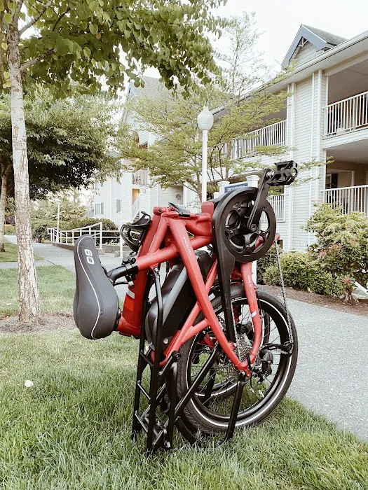 Seattle Electric Bike - Eastside Picture 5