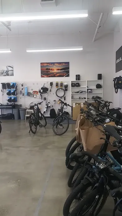Seattle Electric Bike - Eastside Picture 6