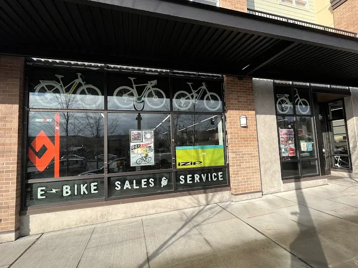 Seattle Electric Bike - Eastside Picture 9