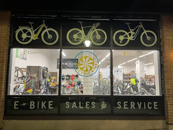 Seattle Electric Bike - Eastside Picture 7