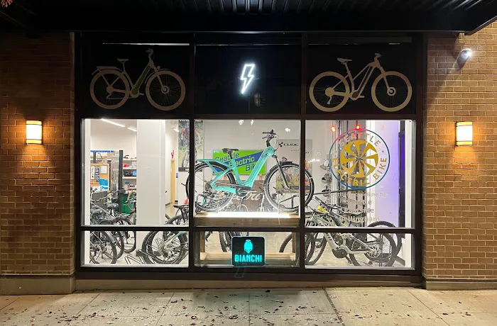 Seattle Electric Bike - Eastside Picture 8