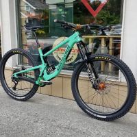 Downhill Zone ico