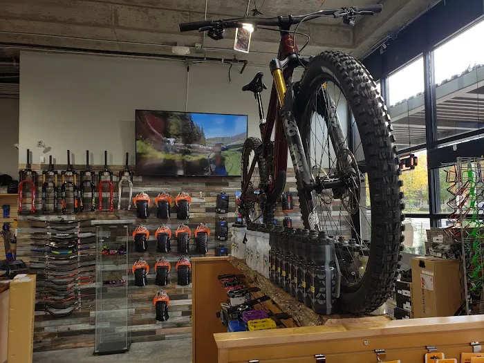 Ride Bicycles Bike Shop Picture 2