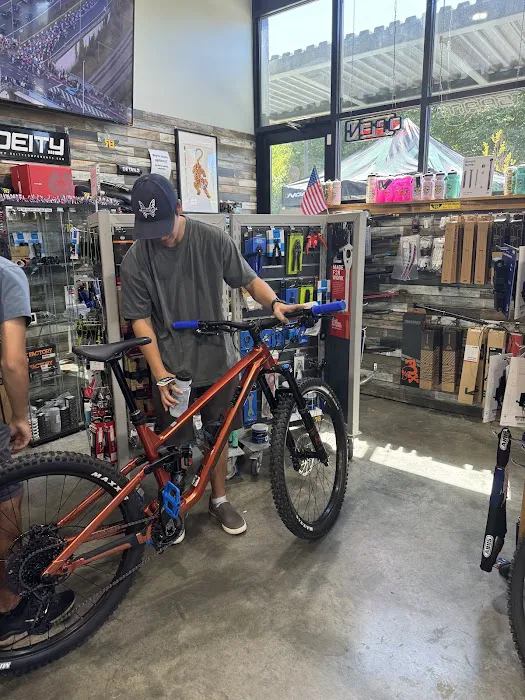 Ride Bicycles Bike Shop Picture 4