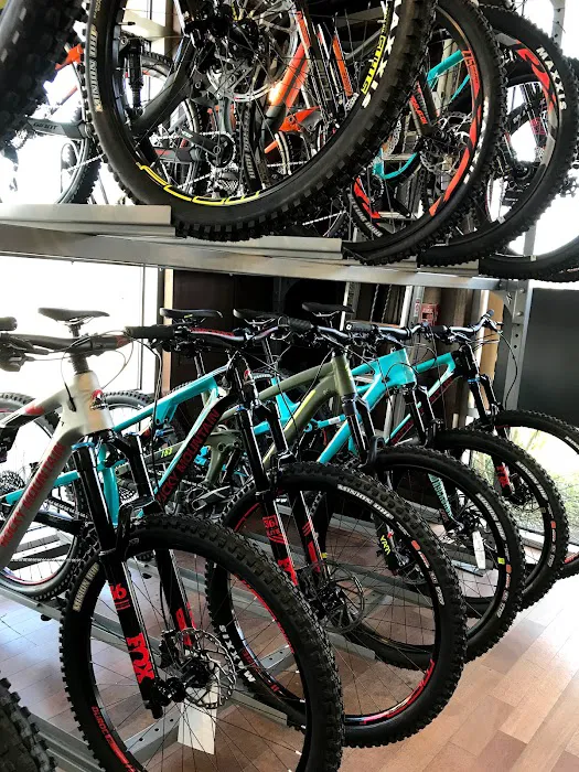 Northwest Bicycle Picture 7