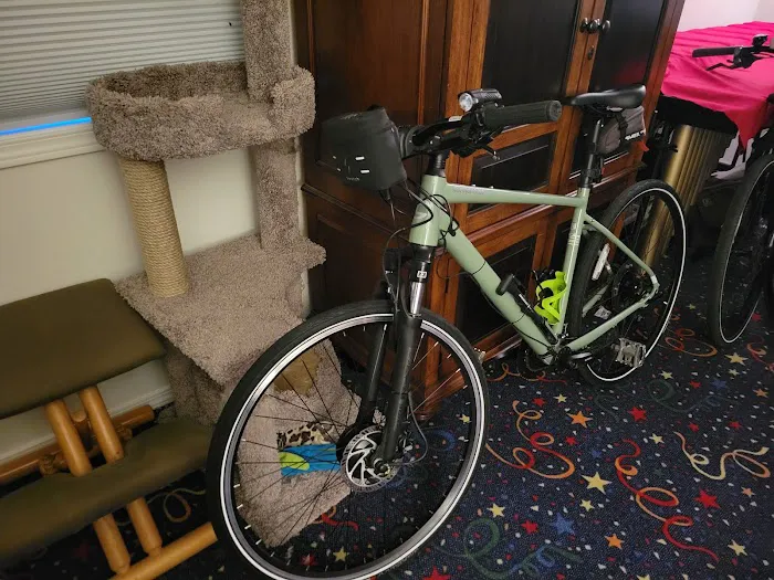 Opalescent Cyclery Picture 1