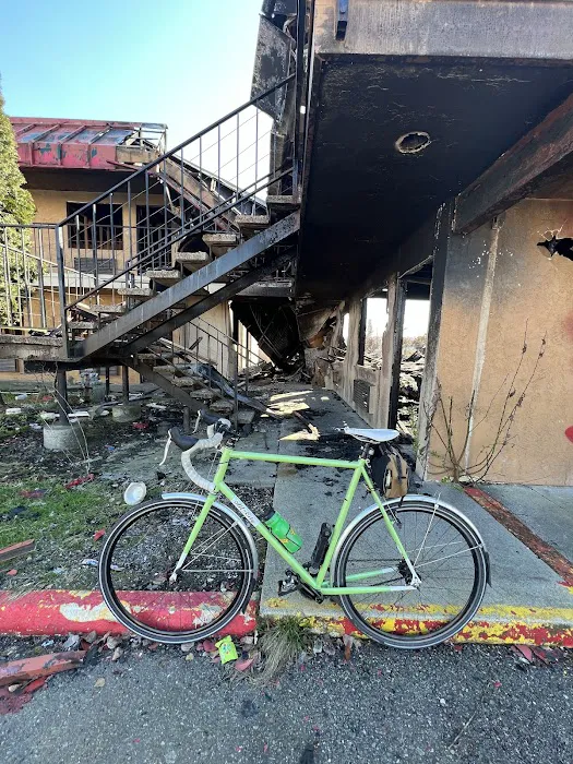 Opalescent Cyclery Picture 8
