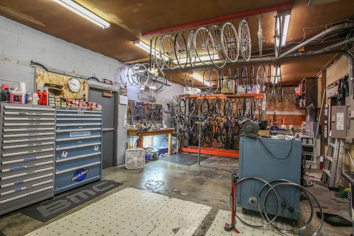Tacoma Bike Picture 3