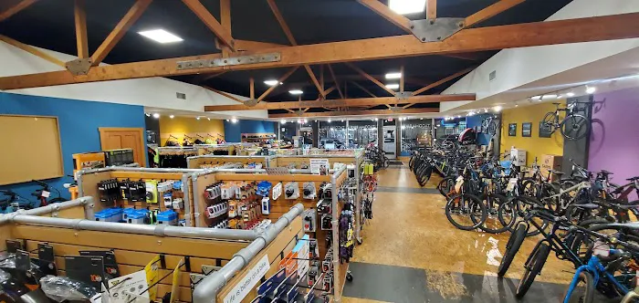 Tacoma Bike Picture 7