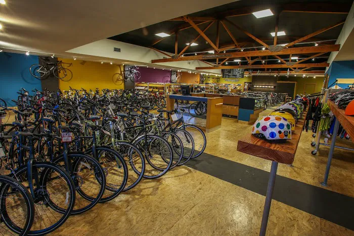 Tacoma Bike Picture 10