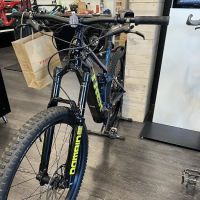 Trek Bicycle Tacoma University Place ico