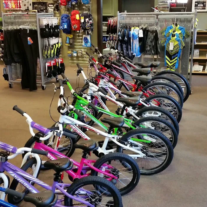 Bainbridge Bike Co. Picture 3