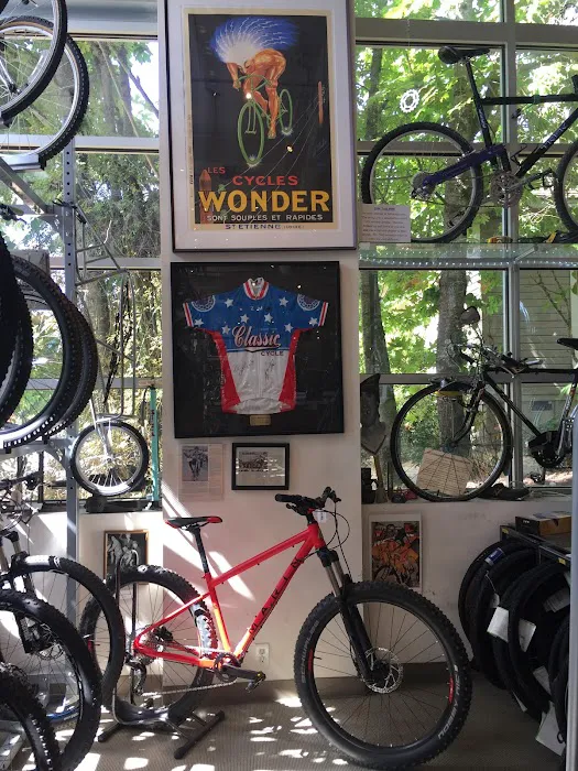 Classic Cycle Picture 1