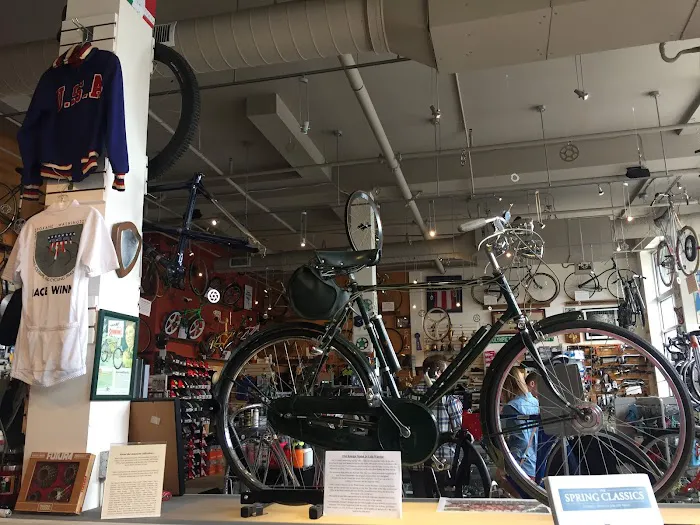 Classic Cycle Picture 2