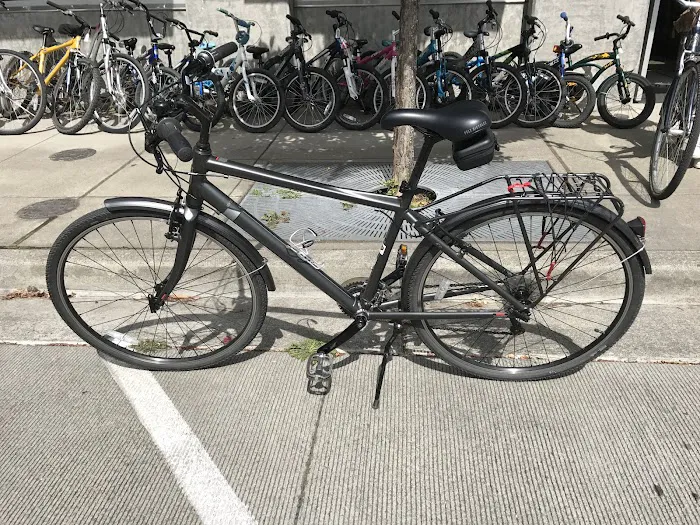 Classic Cycle Picture 5