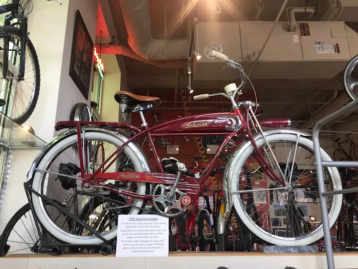 Classic Cycle Picture 3