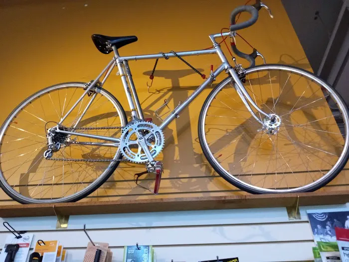 Classic Cycle Picture 6