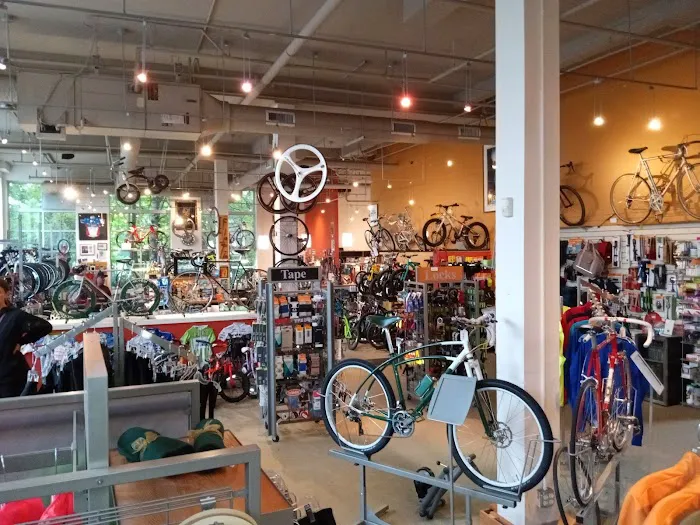 Classic Cycle Picture 8