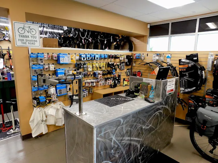 Gregg's Lynnwood Cycle Picture 5