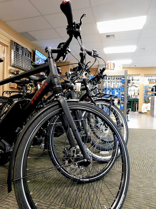 Gregg's Lynnwood Cycle Picture 2