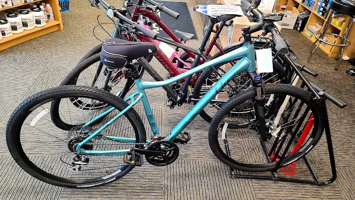 Gregg's Lynnwood Cycle Picture 7