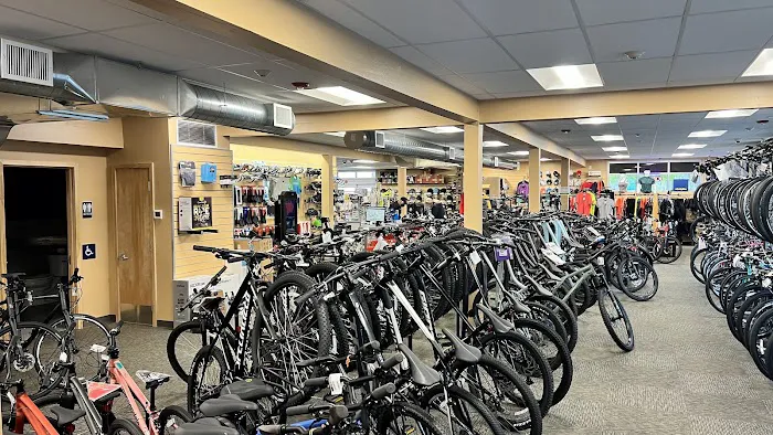Gregg's Lynnwood Cycle Picture 6
