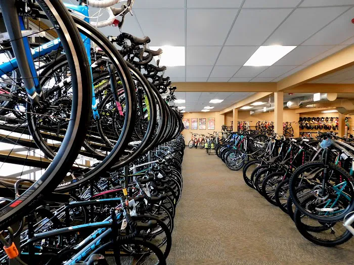 Gregg's Lynnwood Cycle Picture 10