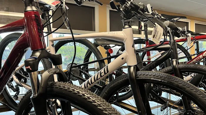 Gregg's Lynnwood Cycle Picture 9