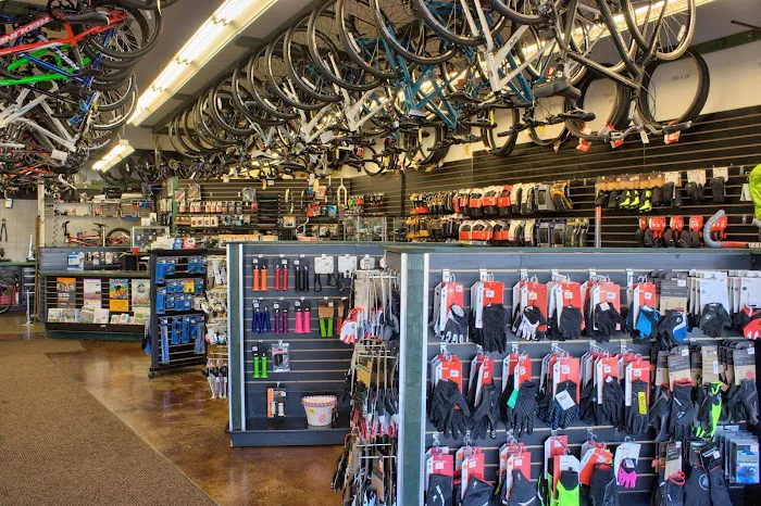 Bicycle Centres of Silverlake Picture 10