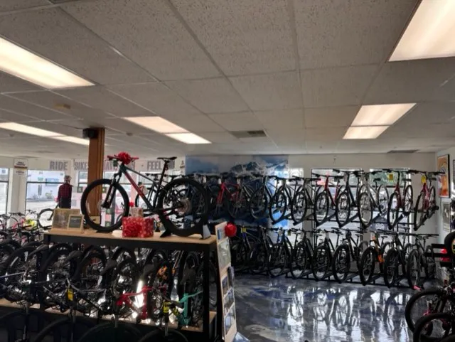 Trek Bicycle Olympia West Picture 3