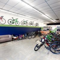 Big Stump Bikes ico