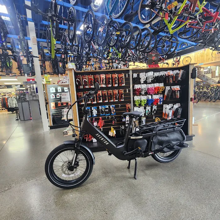 Bicycle Centres of Everett Ski and Snowboard Picture 2