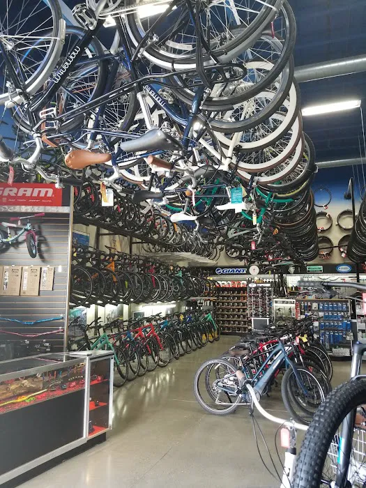 Bicycle Centres of Everett Ski and Snowboard Picture 7