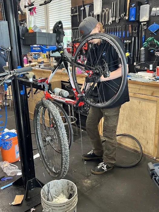 Bicycle Centres of Snohomish | Bike, Ski, and Snowboard Rental Picture 2