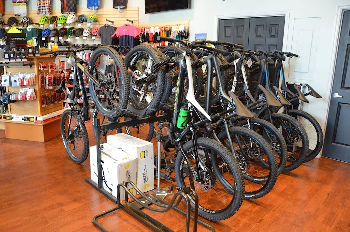 Trail & Fitness Bicycles Picture 1