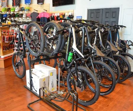Trail & Fitness Bicycles