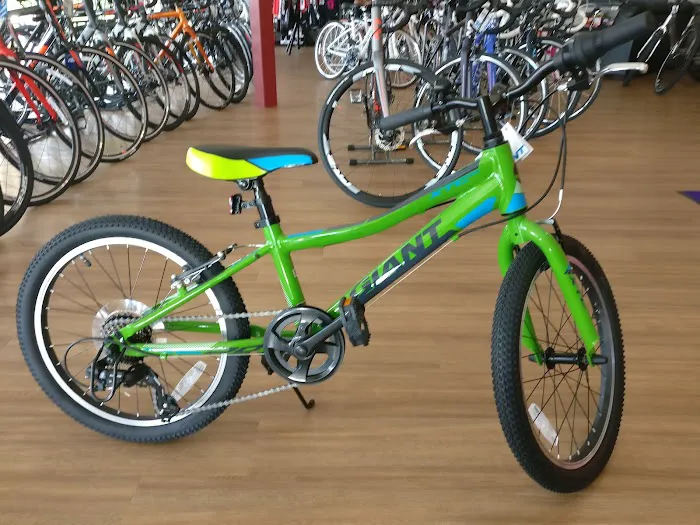 RIDE615 Bicycle Shop Picture 3