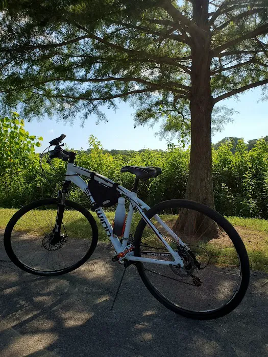 RIDE615 Bicycle Shop Picture 6