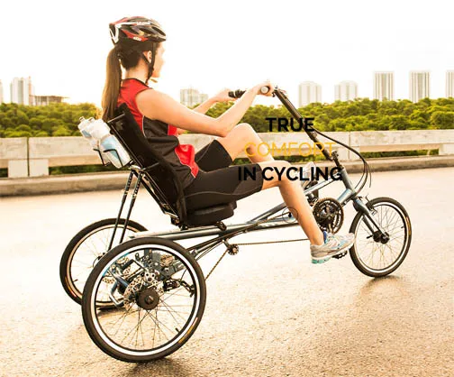 Carney Recumbent Bicycles Picture 5