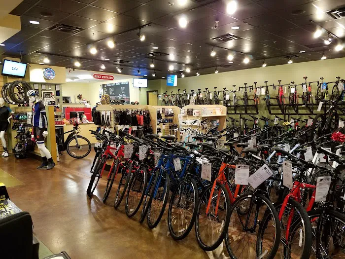 Trace Bikes Picture 3
