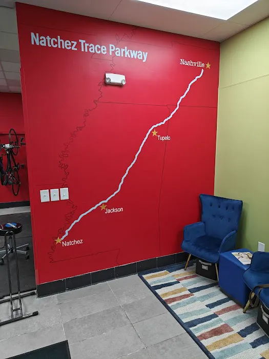 Trace Bikes Picture 1