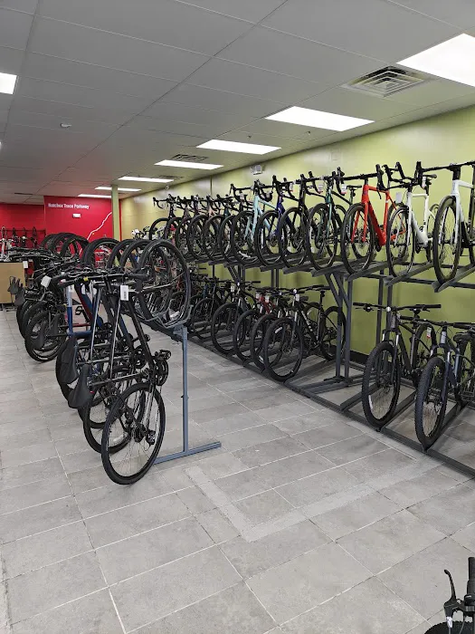 Trace Bikes Picture 7